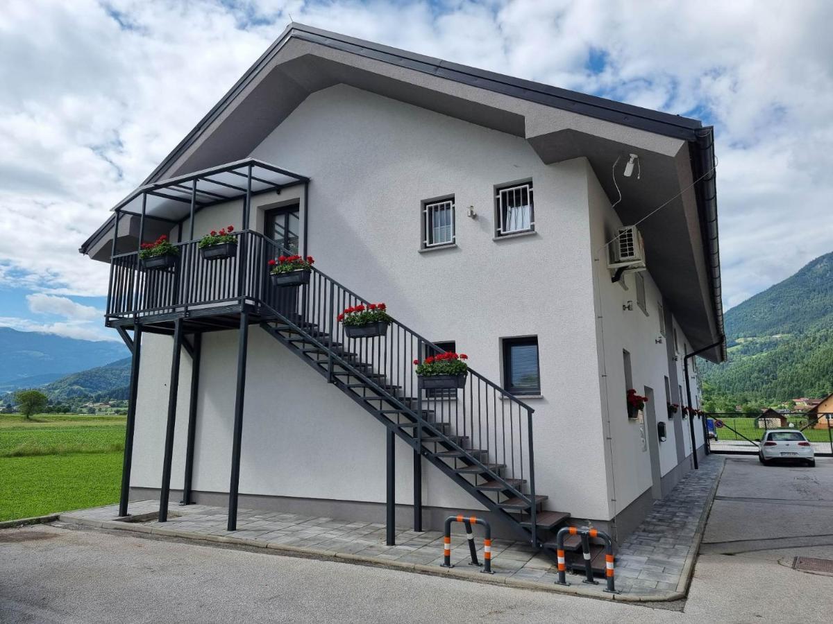 Apartmaji Ribic Ljubno Экстерьер фото