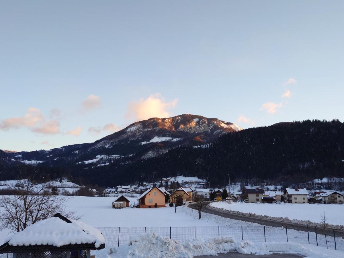 Apartmaji Ribic Ljubno Экстерьер фото
