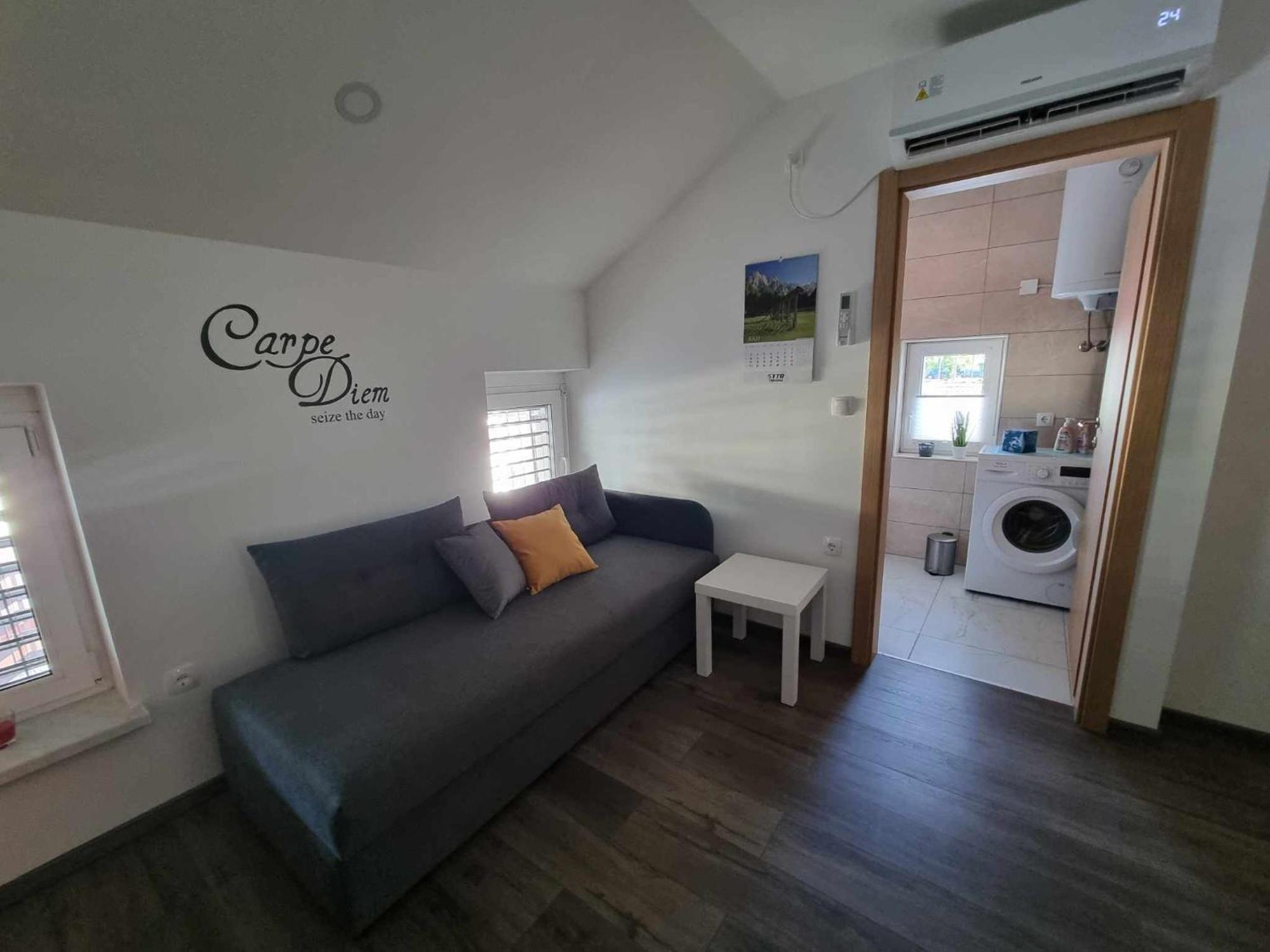 Apartmaji Ribic Ljubno Экстерьер фото